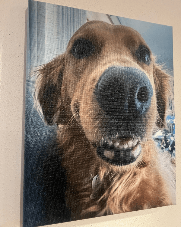 Custom Photo Canvas